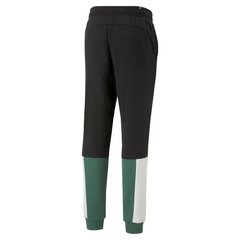Puma Брюки Ess+ Block Sweatpants Black White Green 848007 37 цена и информация | Мужская спортивная одежда | pigu.lt