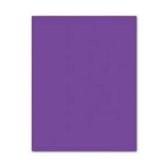 Картонная бумага Iris Фиолетовый 185 g (50 x 65 cm) (25 штук) цена и информация | Тетради и бумажные товары | pigu.lt