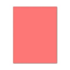 Картонная бумага Iris Розовый 50 x 65 cm (25 штук) цена и информация | Тетради и бумажные товары | pigu.lt