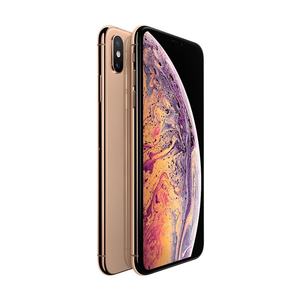 iPhone XS Max 64GB Gold kaina ir informacija | Mobilieji telefonai | pigu.lt