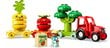10982 LEGO® DUPLO Vaisių ir daržovių traktorius kaina ir informacija | Konstruktoriai ir kaladėlės | pigu.lt