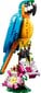 31136 LEGO® Creator Egzotiška papūga kaina ir informacija | Konstruktoriai ir kaladėlės | pigu.lt