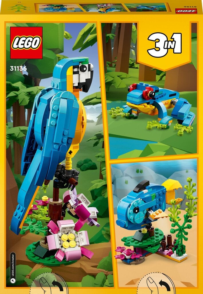 31136 LEGO® Creator Egzotiška papūga kaina ir informacija | Konstruktoriai ir kaladėlės | pigu.lt