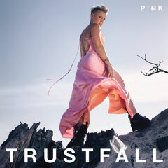 CD Pink Trustfall цена и информация | Виниловые пластинки, CD, DVD | pigu.lt