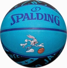   цена и информация | Баскетбольные мячи | pigu.lt