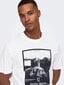 Marškinėliai vyrams Only & Sons 22025271*02, balti kaina ir informacija | Vyriški marškinėliai | pigu.lt
