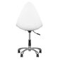 Kosmetinė kėdė Activeshop 265, balta kaina ir informacija | Baldai grožio salonams | pigu.lt
