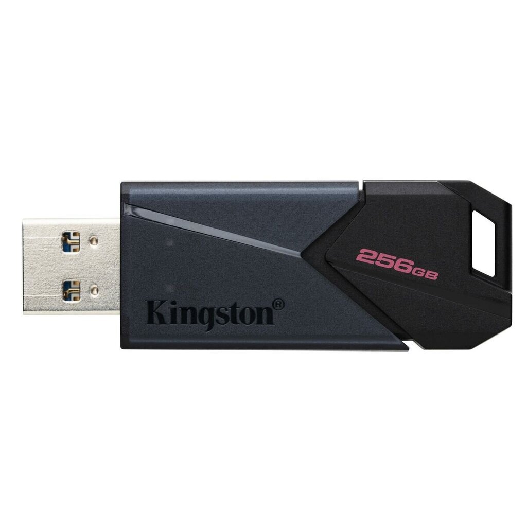 Kingston DTXON/256GB 256 GB USB-A kaina ir informacija | USB laikmenos | pigu.lt