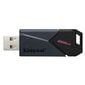 Kingston DataTraveler 256GB USB 3.2 kaina ir informacija | USB laikmenos | pigu.lt