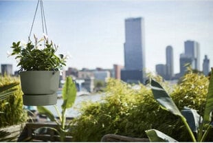 Подвесной горшок для растений Elho Greenville Зеленый Пластик (Ø 23,9 x 20,3 cm) цена и информация | Вазоны | pigu.lt