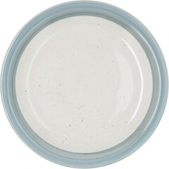 Плоская тарелка Quid Allegra Aqua Керамика Двухцветный (Ø 27 cm) (12 штук) цена и информация | Посуда, тарелки, обеденные сервизы | pigu.lt