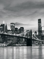 Consalnet Фотообои флизелиновые City New York 416 x 254 cm 14356VEXXXL цена и информация | Фотообои с инструментом и клеем - Бежевые листья эвкалипта, 400x280 см | pigu.lt