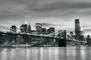 Consalnet Фотообои флизелиновые New York 312 x 219 cm 011VEXXL цена и информация | Фотообои с инструментом и клеем - Бежевые листья эвкалипта, 400x280 см | pigu.lt