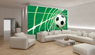 Consalnet Фотообои флизелиновые Football 208 x 146 cm 015VEXL цена и информация | Фотообои | pigu.lt