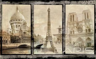 Consalnet Фотообои флизелиновые Paris 416 x 254 cm 021VEXXXL цена и информация | Фотообои с инструментом и клеем - Бежевые листья эвкалипта, 400x280 см | pigu.lt