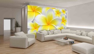 Consalnet Фотообои флизелиновые Flowers 416 x 254 cm 033VEXXXL цена и информация | Фотообои с инструментом и клеем - Бежевые листья эвкалипта, 400x280 см | pigu.lt