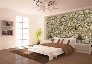 Consalnet Фотообои флизелиновые Stone wall 416 x 254 cm 036VEXXXL цена и информация | Фотообои | pigu.lt