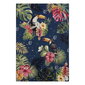 Hanse Home kilimas Tropical Dream 200x285 cm kaina ir informacija | Kilimai | pigu.lt