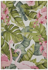 Hanse Home kilimas Tropical Flamingo 120x180 cm kaina ir informacija | Kilimai | pigu.lt