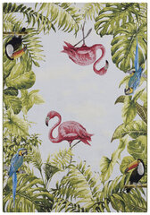 Hanse Home kilimas Tropical Birds 120x180 cm kaina ir informacija | Kilimai | pigu.lt