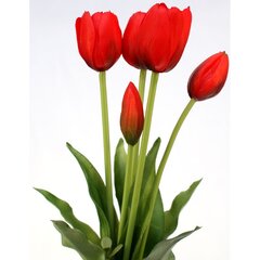 Букет красных тюльпанов цена и информация | Искусственные цветы | pigu.lt