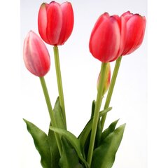5 rožinių tulpių puokštė, 40 cm kaina ir informacija | Dirbtinės gėlės | pigu.lt