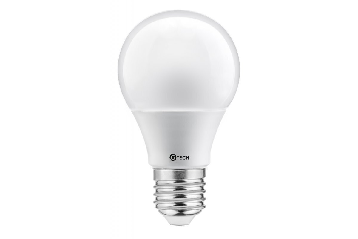 LED lemputė GT-PN2A60-10W цена и информация | Elektros lemputės | pigu.lt