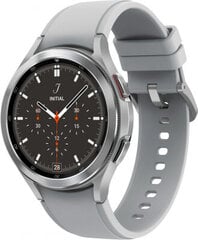 Samsung Galaxy Watch 4 Classic 46 mm Silver kaina ir informacija | Išmanieji laikrodžiai (smartwatch) | pigu.lt