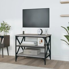 Televizoriaus spintelė vidaXL, pilka kaina ir informacija | TV staliukai | pigu.lt