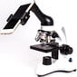 Magicso Professional Bio 1600X kaina ir informacija | Teleskopai ir mikroskopai | pigu.lt
