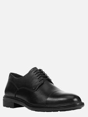 Мужские ботинки GEOX U Walk Pleasure Black 573231199 цена и информация | Мужские ботинки | pigu.lt