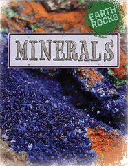 Earth Rocks: Minerals цена и информация | Книги для подростков и молодежи | pigu.lt