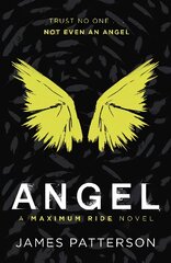 Angel: A Maximum Ride Novel: (Maximum Ride 7) цена и информация | Книги для подростков и молодежи | pigu.lt