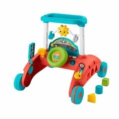 Машинка-каталка Fisher Price Evolutionary Activity цена и информация | Игрушки для малышей | pigu.lt