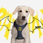 Šuns pakinktai Batman, mėlyni kaina ir informacija | Antkakliai, petnešos šunims | pigu.lt