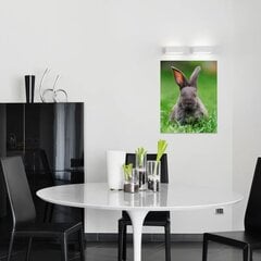 Печатный холст на стену с маленьким кроликом Холст с животными Декор интерьера для детской комнаты - 40 х 30 см цена и информация | Репродукции, картины | pigu.lt
