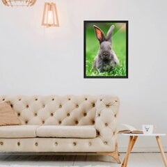 Настенный плакат с милым маленьким кроликом Постер с животными Декор интерьера для детской комнаты - 40 х 30 см цена и информация | Интерьерные наклейки | pigu.lt