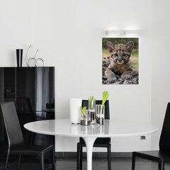 Печатный настенный холст с маленьким леопардом Холст с животными Декор интерьера для детской комнаты - 40 х 30 см цена и информация | Репродукции, картины | pigu.lt