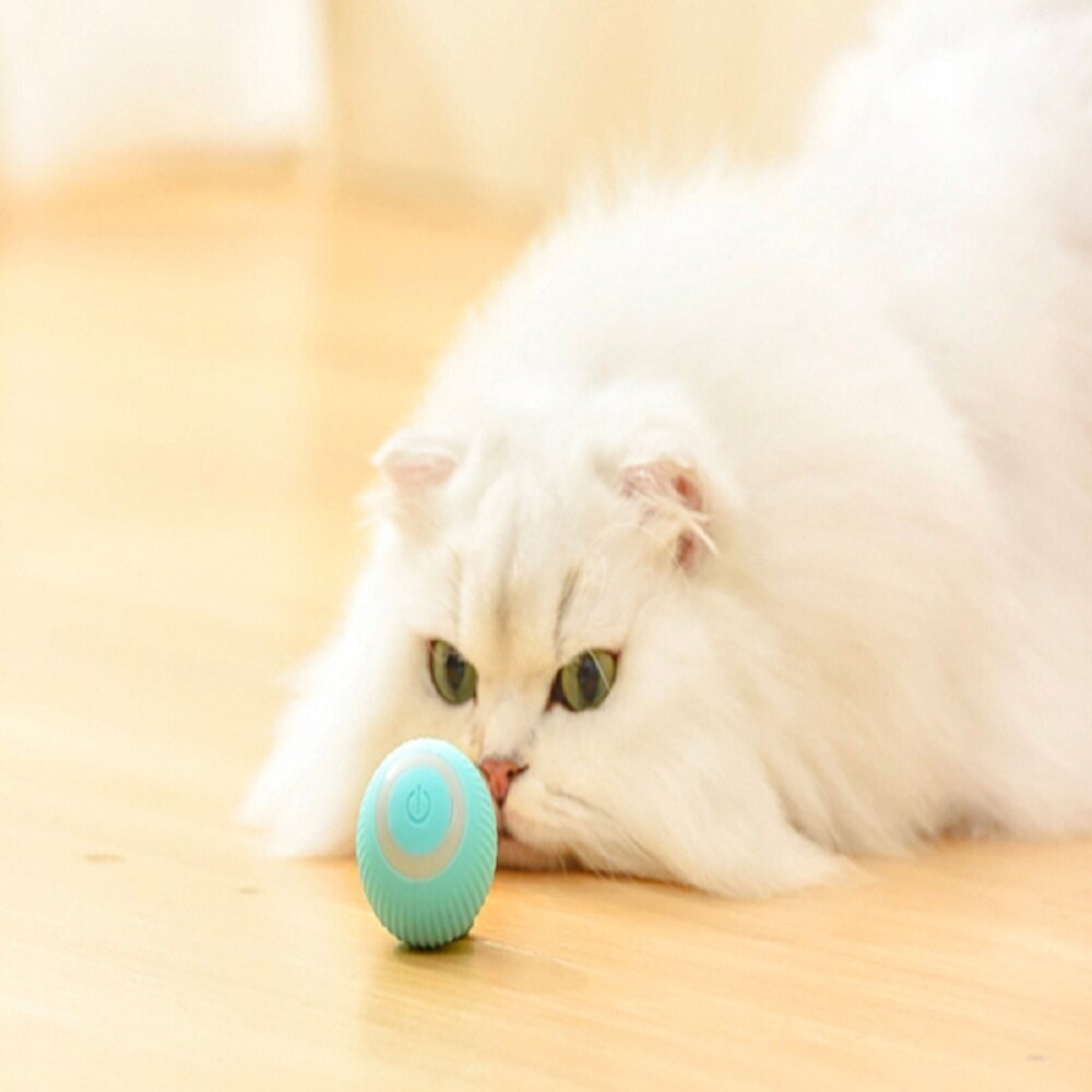 Išmanus žaidimų kamuoliukas augintiniams Petgravity kaina ir informacija | Žaislai katėms | pigu.lt