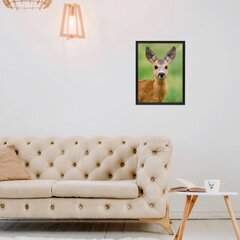 Sieninis plakatas „Little Deer“ gyvūno plakatas „Vaikiško kambario interjero dekoras“ – 40 x 27 cm kaina ir informacija | Interjero lipdukai | pigu.lt