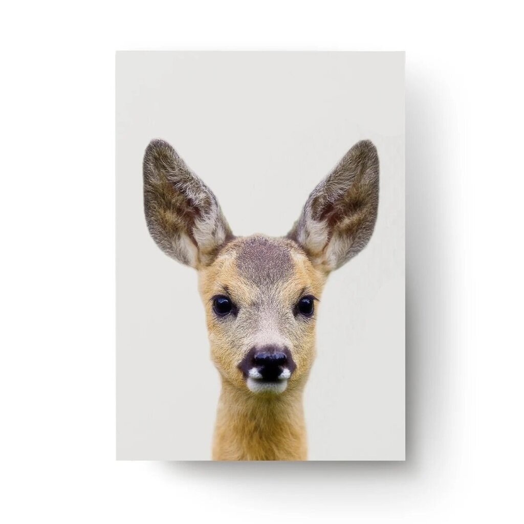 Vaikiškas interjero lipdukas Little Deer kaina ir informacija | Interjero lipdukai | pigu.lt