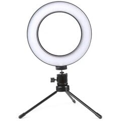 Ring Light LED цена и информация | Осветительное оборудование для фотосъемок | pigu.lt