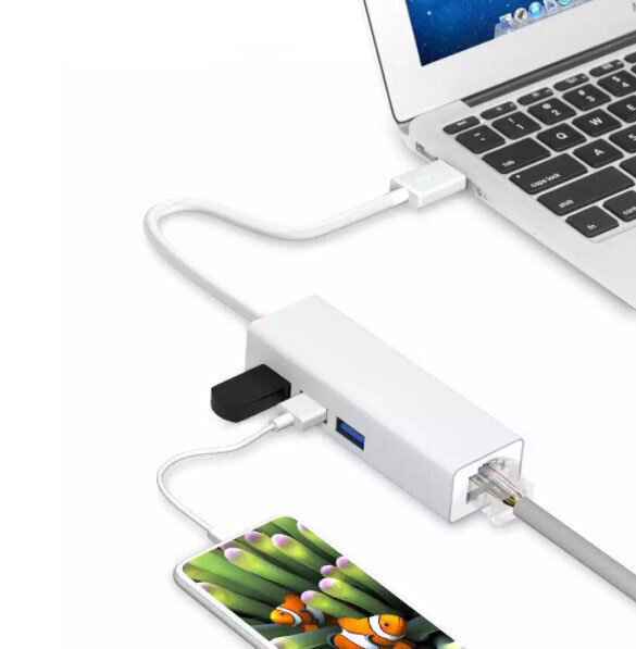 Zenwire 310 цена и информация | Adapteriai, USB šakotuvai | pigu.lt