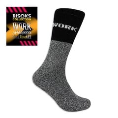 Мужские рабочие носки Bisoks 12168 черные цена и информация | Мужские носки | pigu.lt