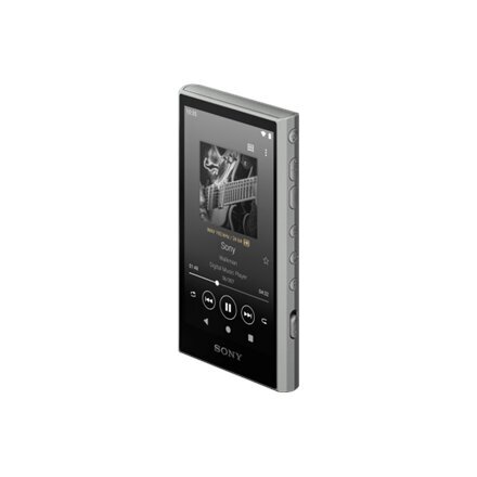 MP3-плеер MP3-плеер Sony Walkman NW-A306 32 ГБ, чёрный цена | pigu.lt