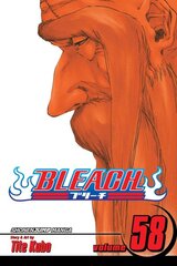 Bleach, Vol. 58: The Fire, 58 цена и информация | Фантастика, фэнтези | pigu.lt