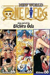 One Piece Omnibus Edition, Vol. 22: Includes Vols. 64, 65 & 66, Includes Vols. 64, 65 & 66 kaina ir informacija | Komiksai | pigu.lt