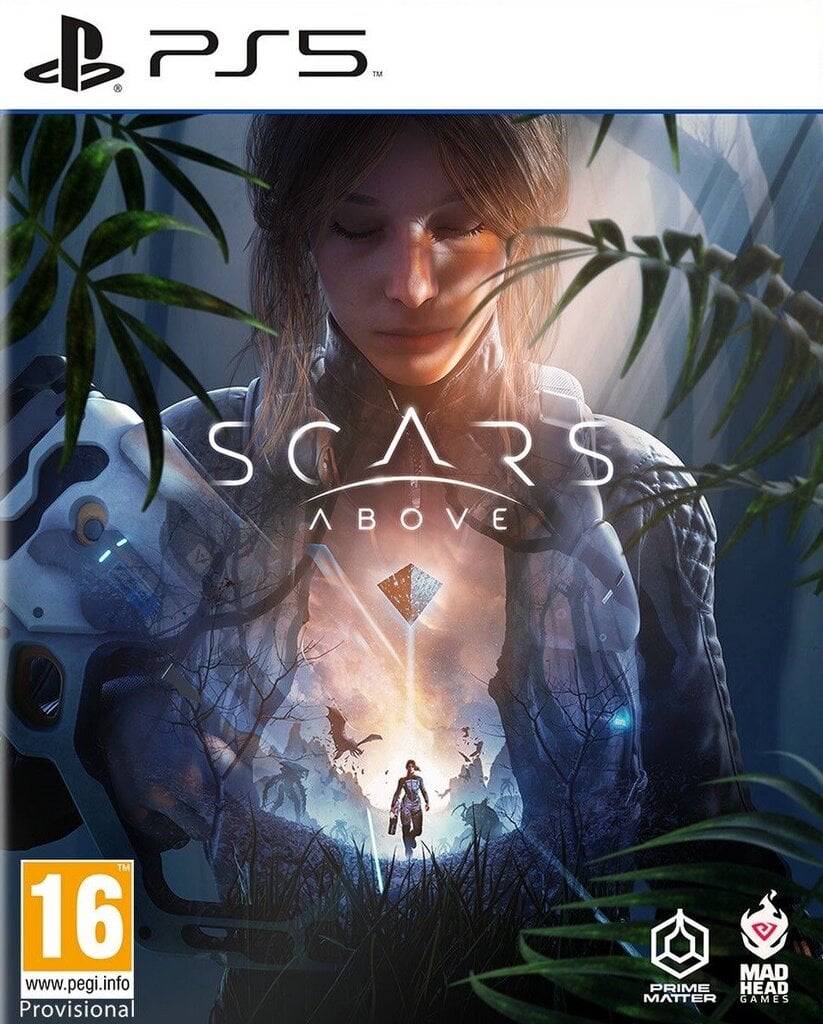 Компьютерная игра Scars Above, PlayStation 5 цена | pigu.lt