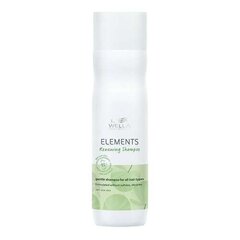 Plaukų šampūnas Wella Elements Renewing, 250 ml kaina ir informacija | Šampūnai | pigu.lt