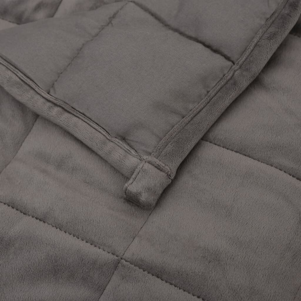 VidaXL sunki antklodė, 140x200 cm kaina ir informacija | Antklodės | pigu.lt